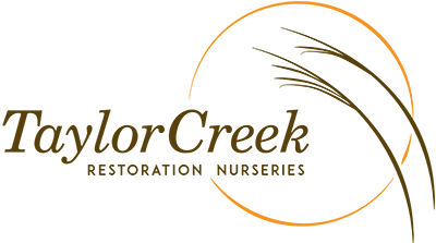 Taylor Creek Restoration Nurseries