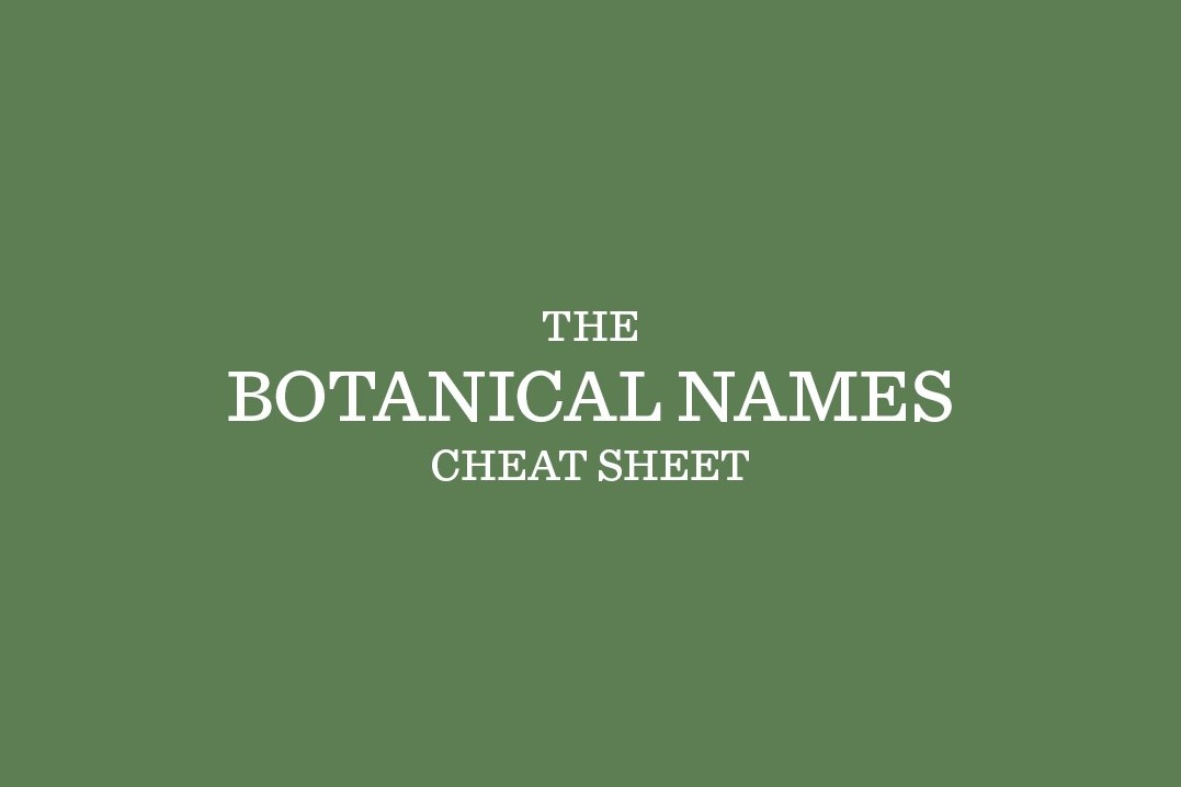 botanical names image1