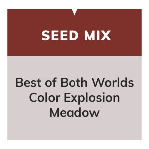 Best of Both Worlds Color Explosion Meadow Mix 20/20
