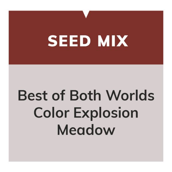 Best of Both Worlds Color Explosion Meadow Mix 20/20
