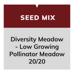 Diversity Meadow - Low Growing Pollinator Meadow 20/20