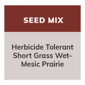 Herbicide Tolerant Short Grass Wet-Mesic Prairie