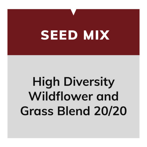 High Diversity Wildflower and Grass Blend 20/20