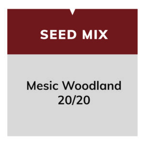 Mesic Woodland 20/20