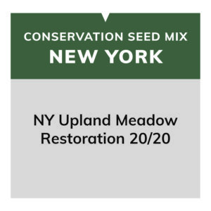 NY Upland Meadow Restoration 20/20