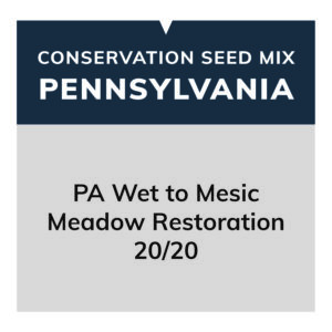 PA Conservation Seed (PA Wet to Mesic Meadow Restoration 20/20)