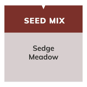 Sedge Meadow Mix 35/20