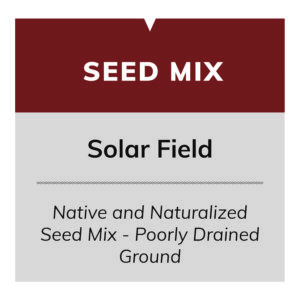 Solar Field (Pollinator Native and Naturalized Seed Mix - Poorly Drained Ground)