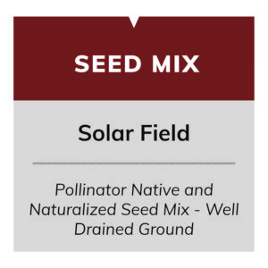 Solar Field (Pollinator Native and Naturalized Seed Mix - Well Drained Ground)