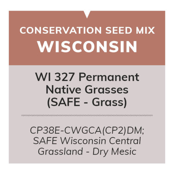 WI 327 Permanent Native Grasses (SAFE - Grass): CP38E-CWGCA(CP2)DM; SAFE Wisconsin Central Grassland - Dry Mesic
