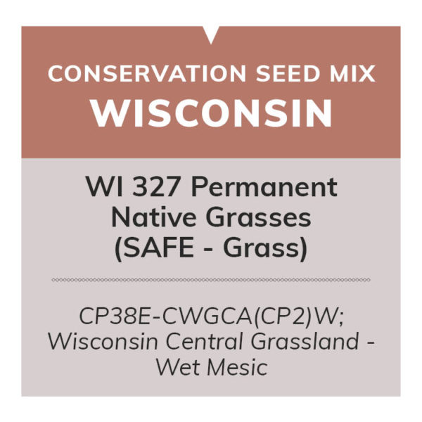 WI 327 Permanent Native Grasses (SAFE - Grass): CP38E-CWGCA(CP2)WM; Wisconsin Central Grassland - Wet Mesic